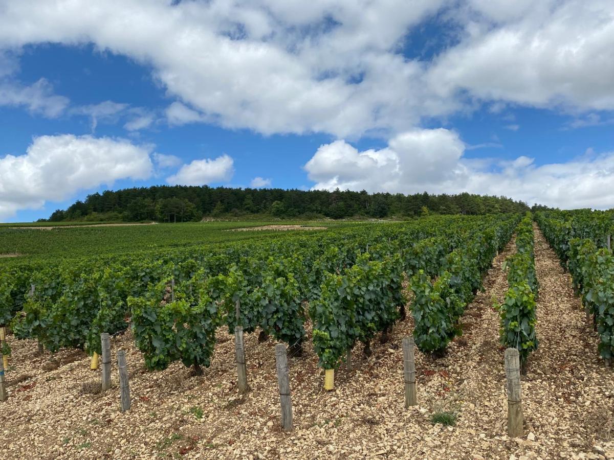 Le Cristallin Gite Plein Coeur De Chablis Eksteriør bilde